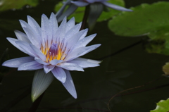 全然使っていなかったA20