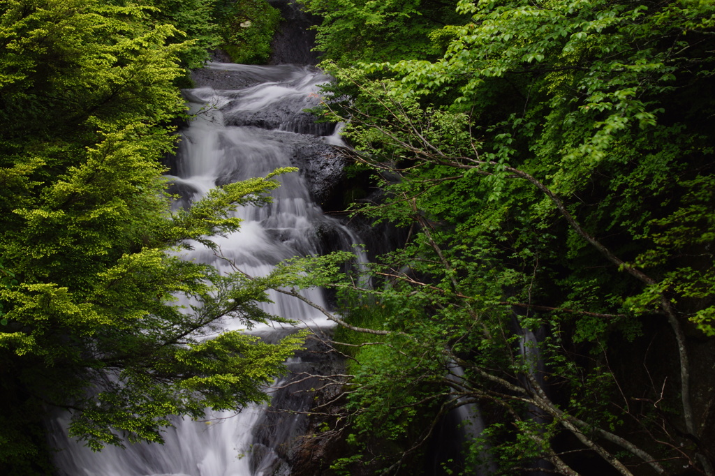 水の音