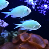 一味違う水族館
