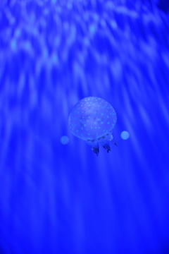 知ってることも知らないことも全部無い