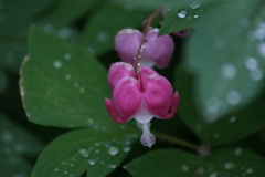 キャラたってるなー