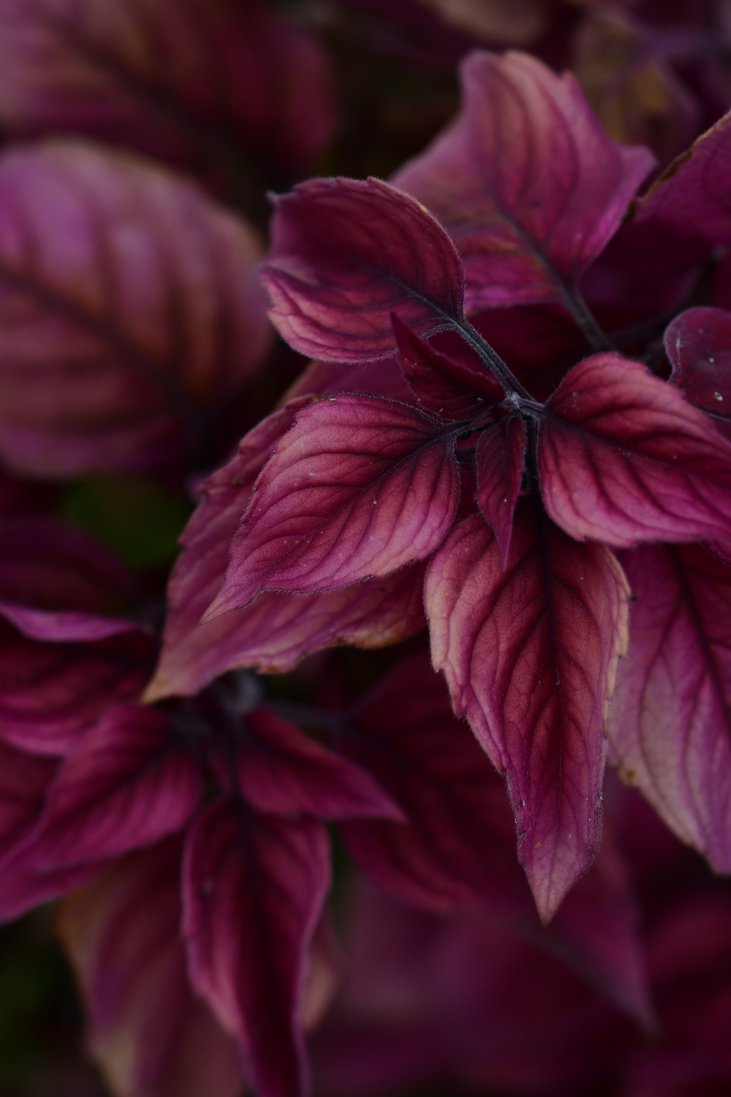 生きて無限を妄想し、死して実感する