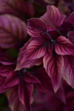 生きて無限を妄想し、死して実感する