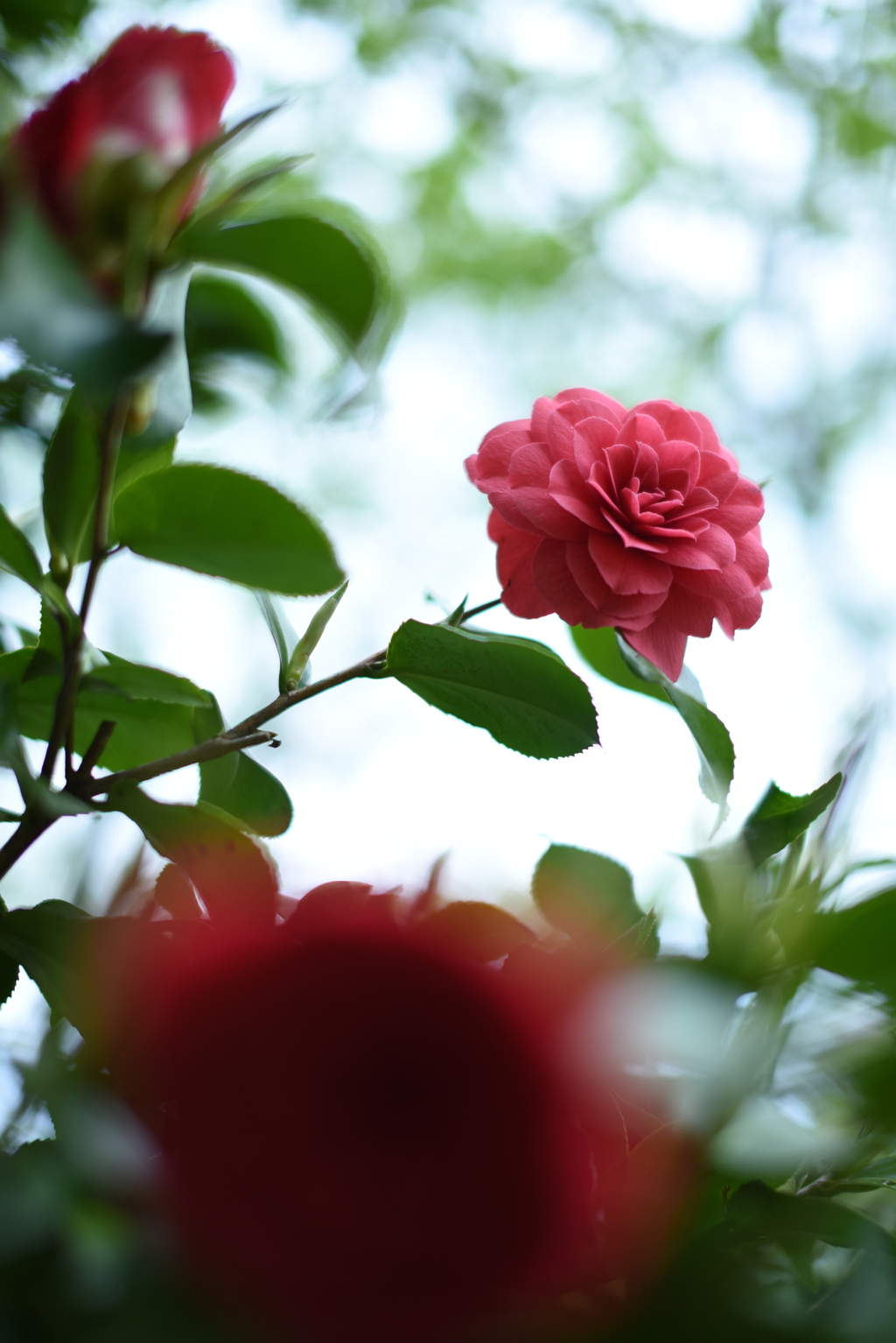 いつかどこかで