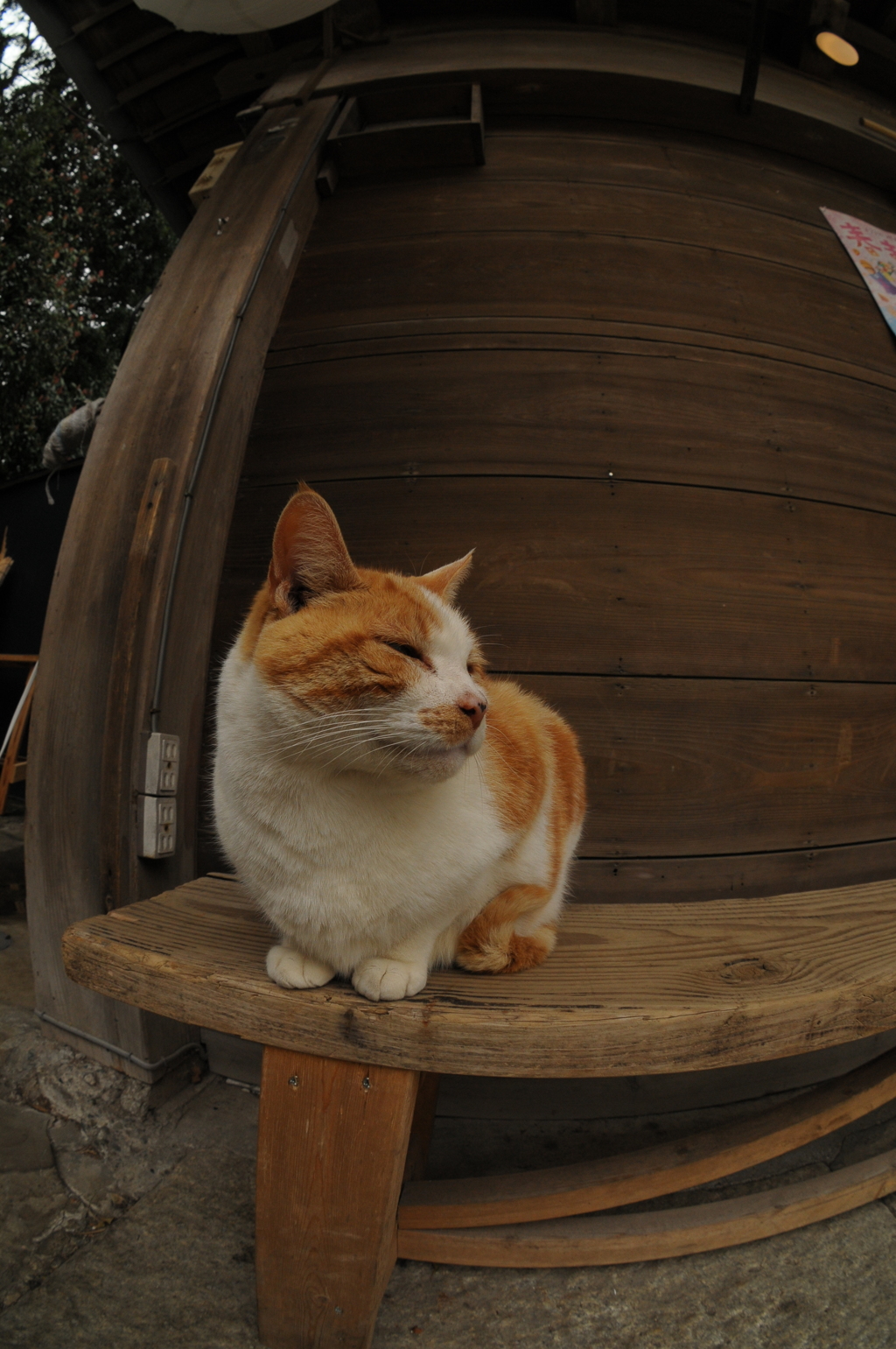 あのコンセントが気になる