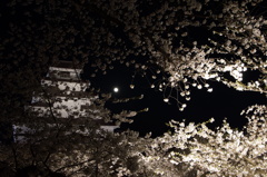 月あかりだけで十分なものを