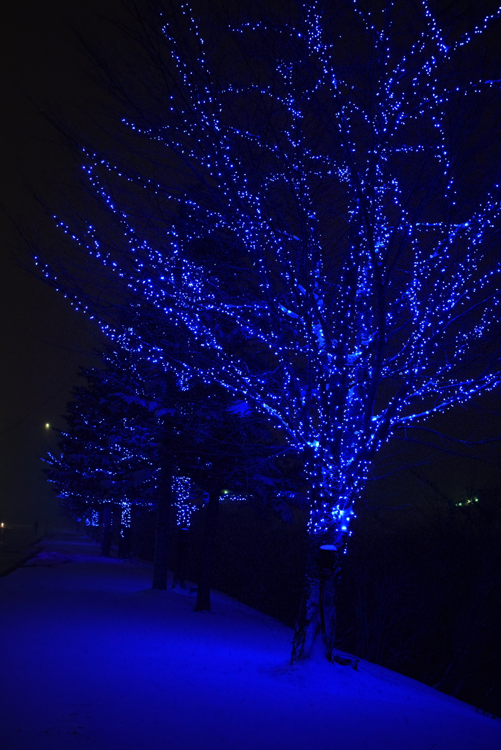 雪は綺麗で怖い