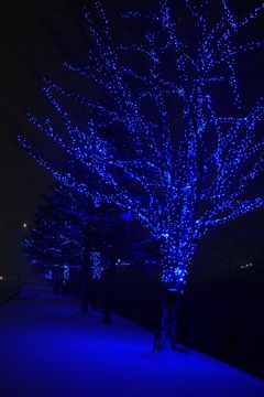 雪は綺麗で怖い