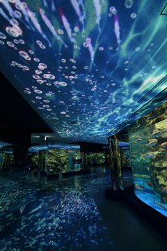 プロジェクションマッピングが普通になってきた