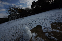 去年は想定外の雪でしたね