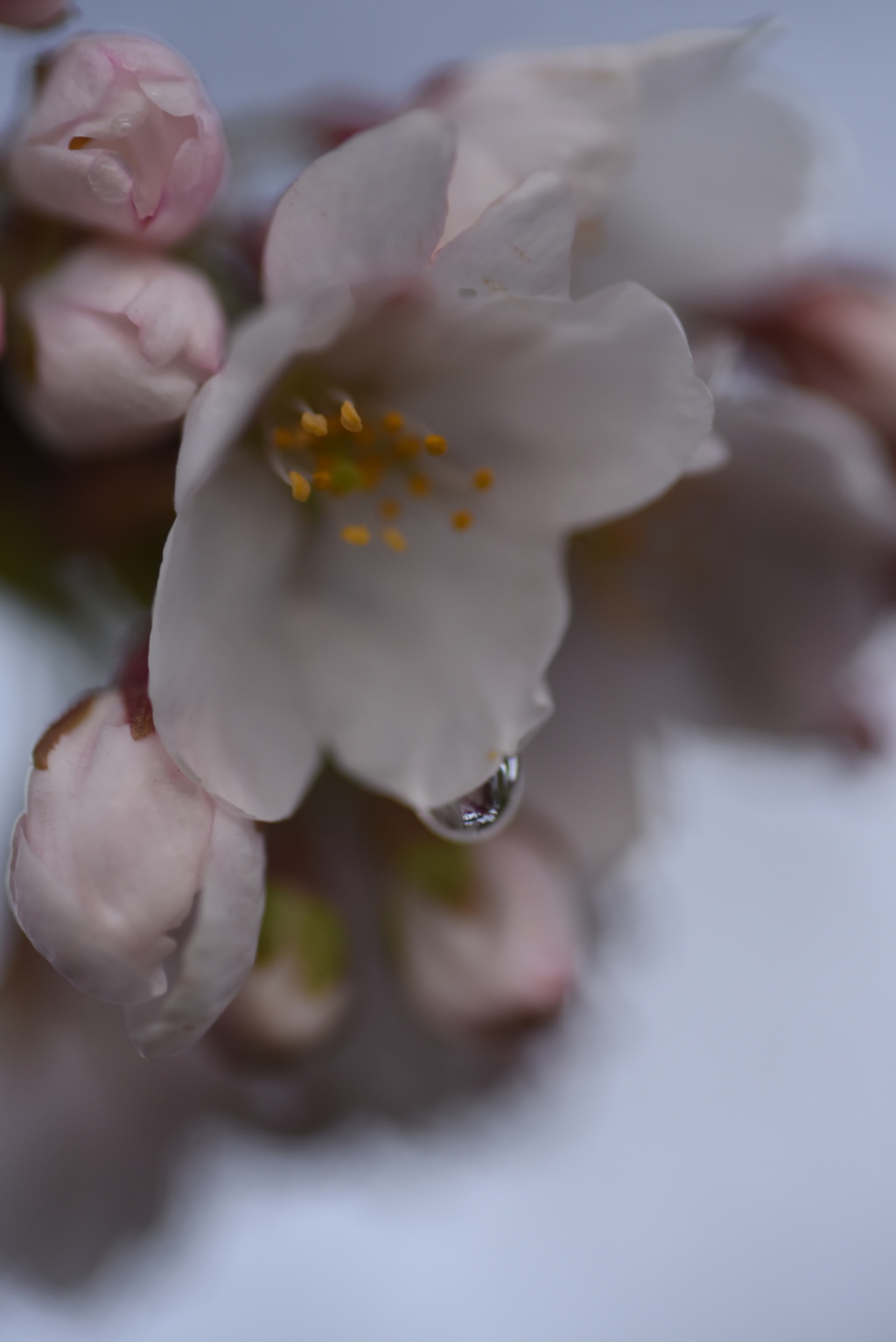 寒くて手が悴む