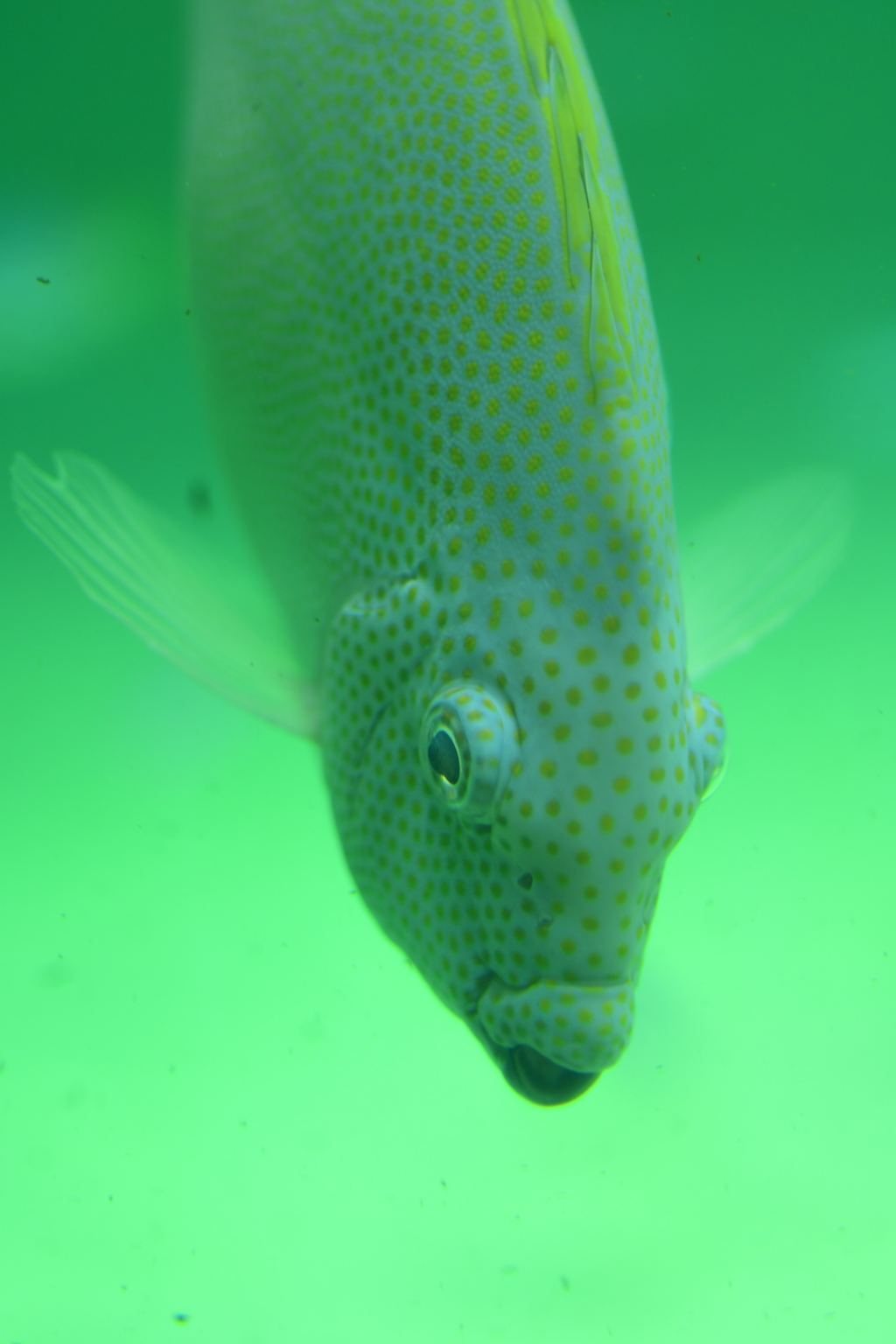 水と光