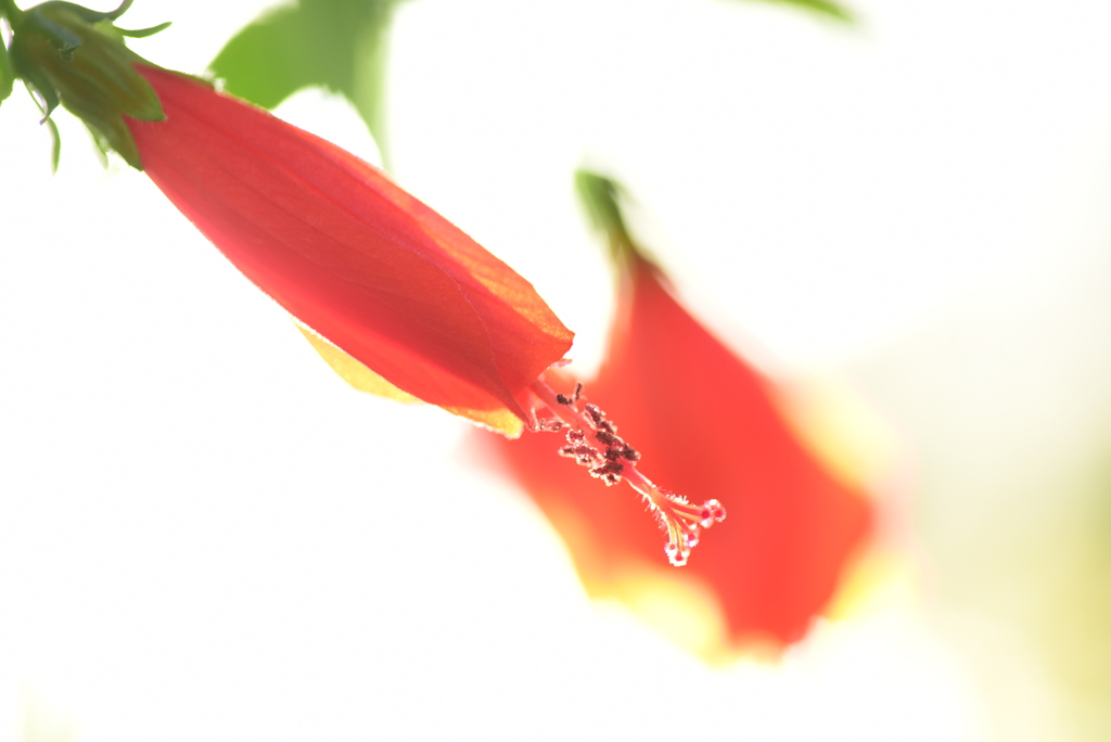 空以外綺麗なところが無い地域