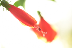 空以外綺麗なところが無い地域