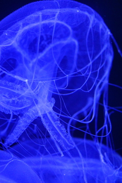 理屈なんていらない