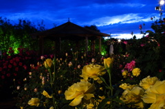 平穏な生活はなかなか無いものです。