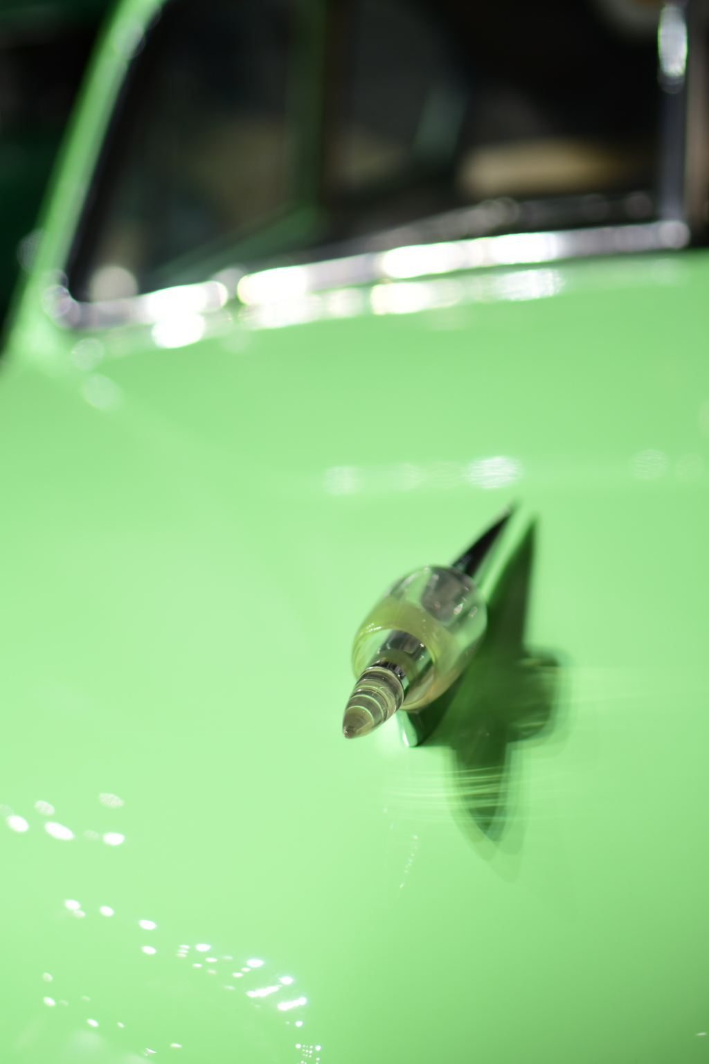 生き物以外は苦手