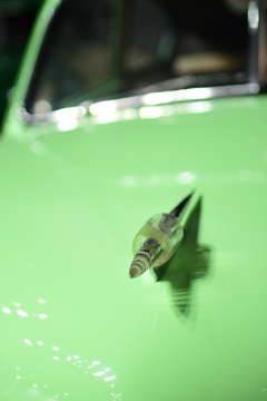 生き物以外は苦手