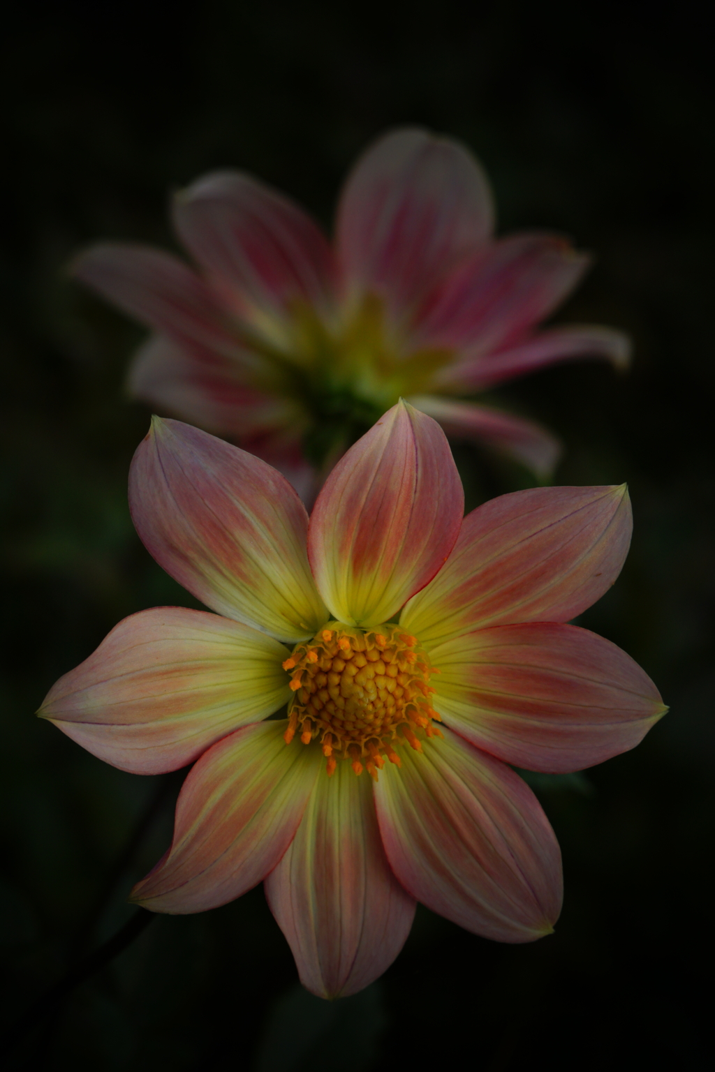 換算９０ｍｍ使いやすい