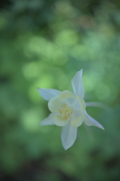 夏迫る