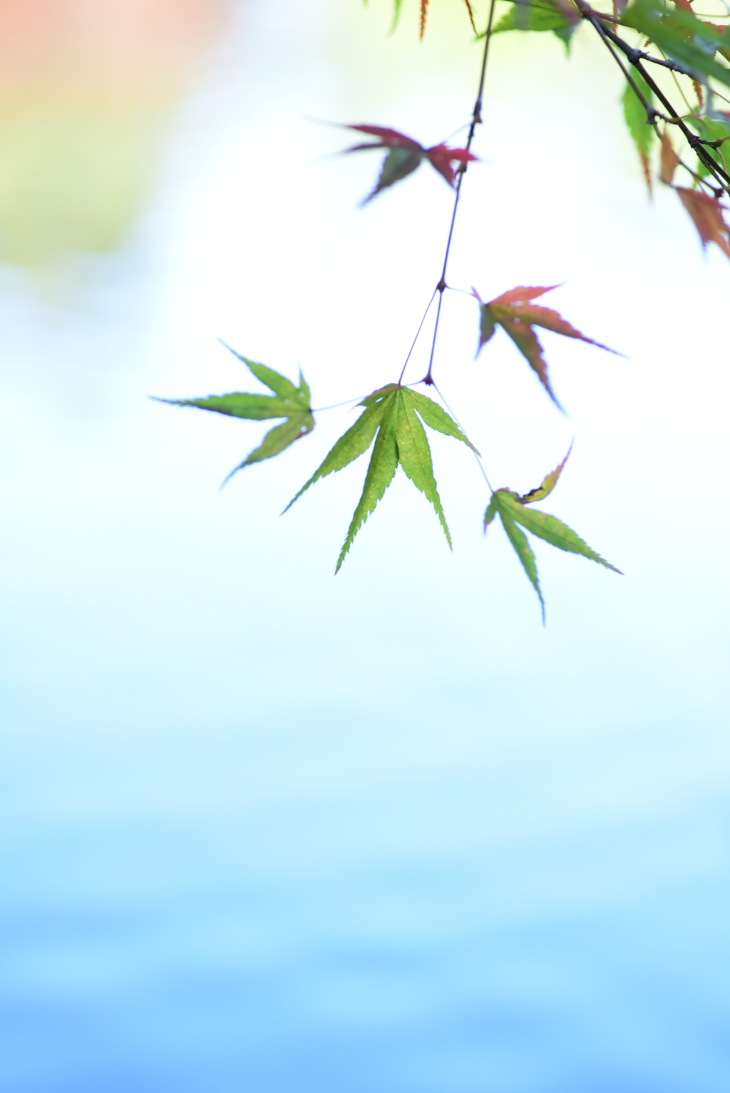 孤独であり少数派