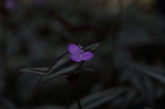 ほんの少しだけ、、、