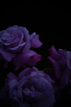 甘い香りと、憂う影