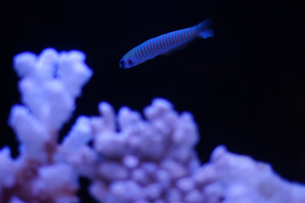 みなそこに眠れ