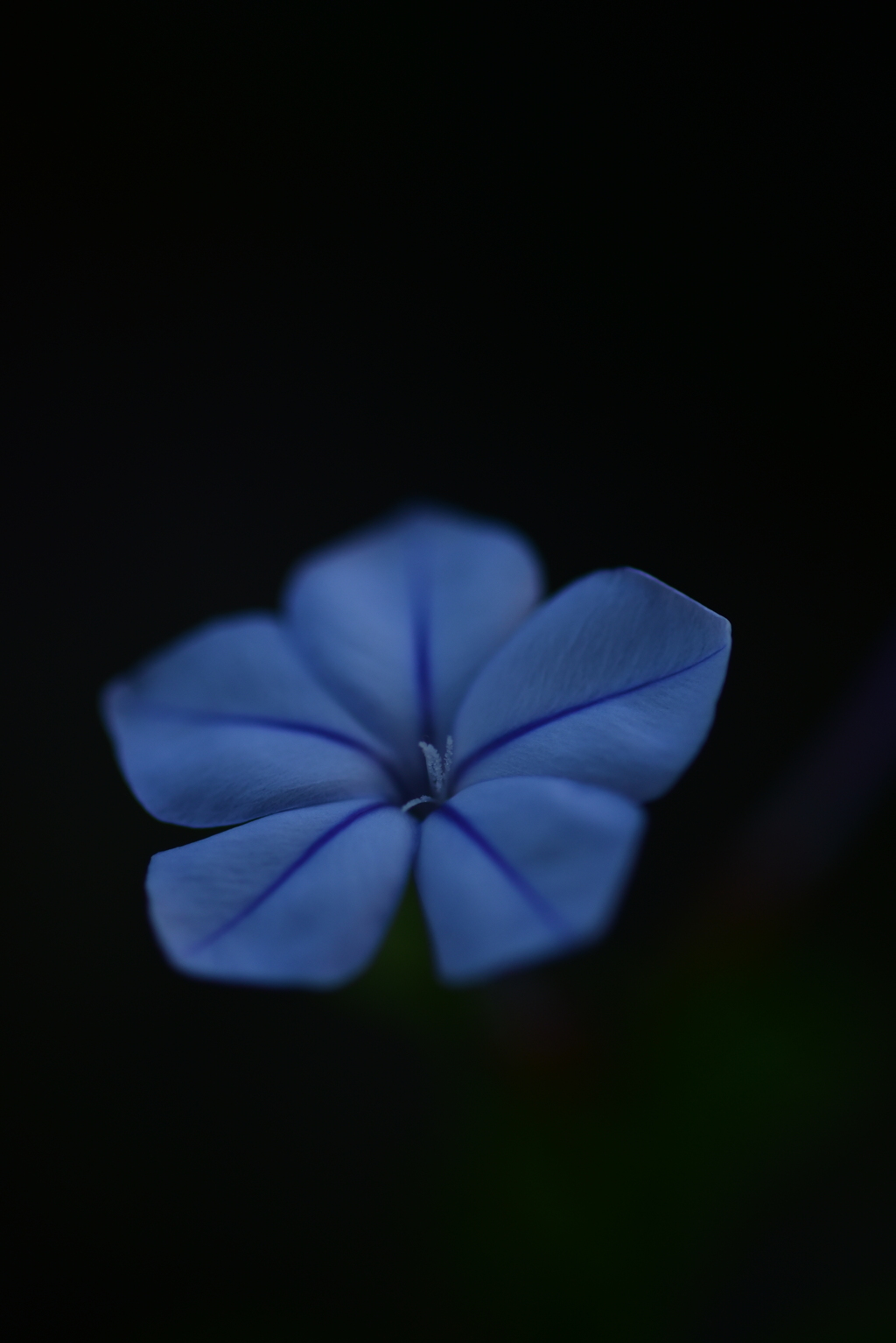 これから先長い自粛期間になると思いますができることは継続していきます