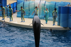 にょき