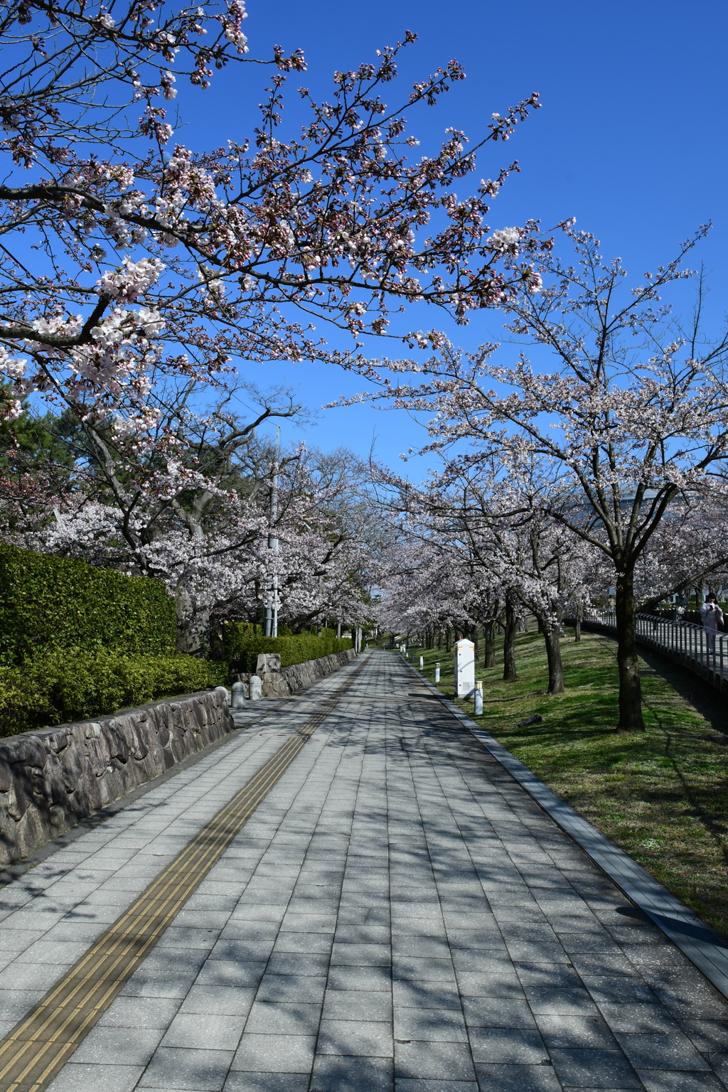 クリア