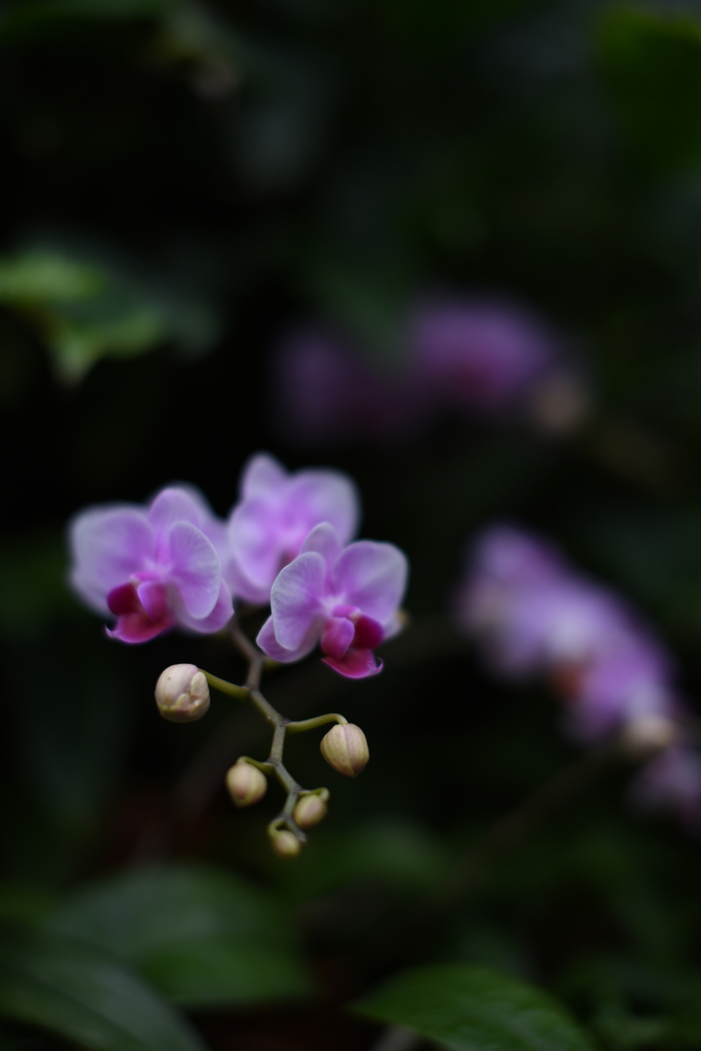 あやふやで曖昧