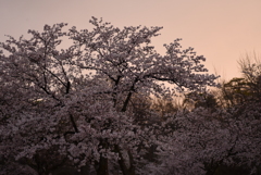 雲の下に太陽がきた