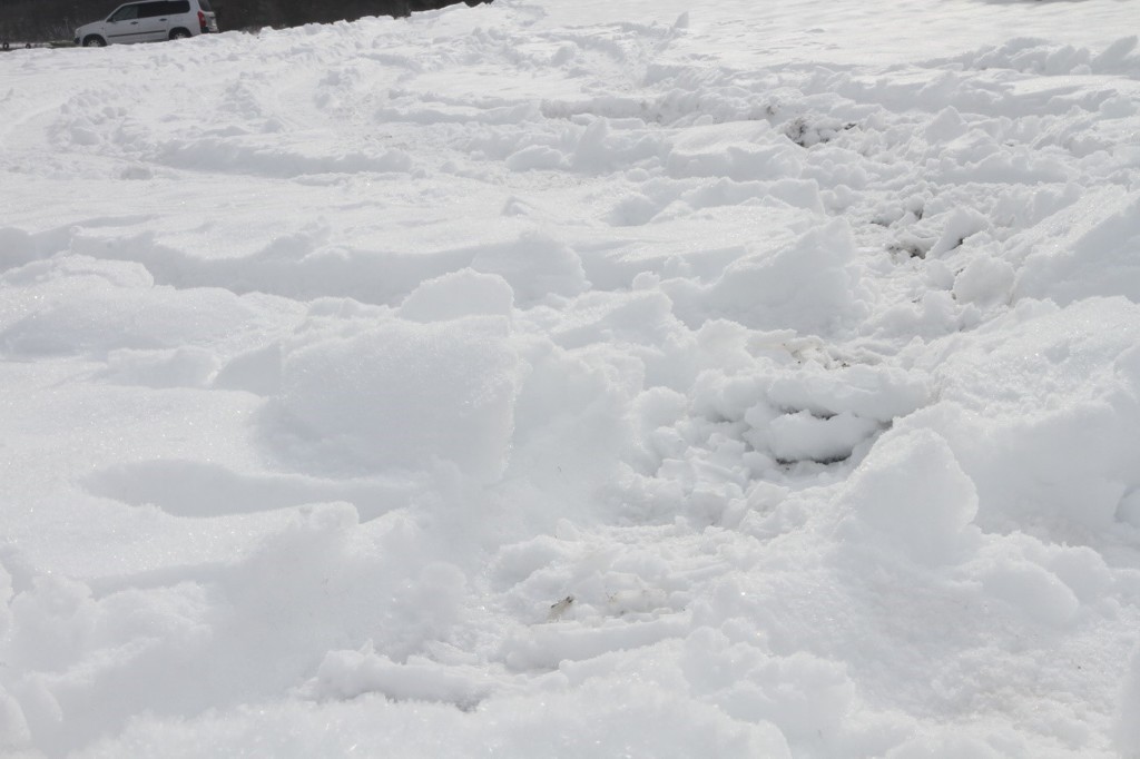 12月23日ベストショット