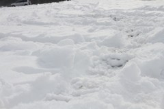 12月23日ベストショット