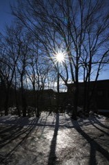 1月16日ベストショット