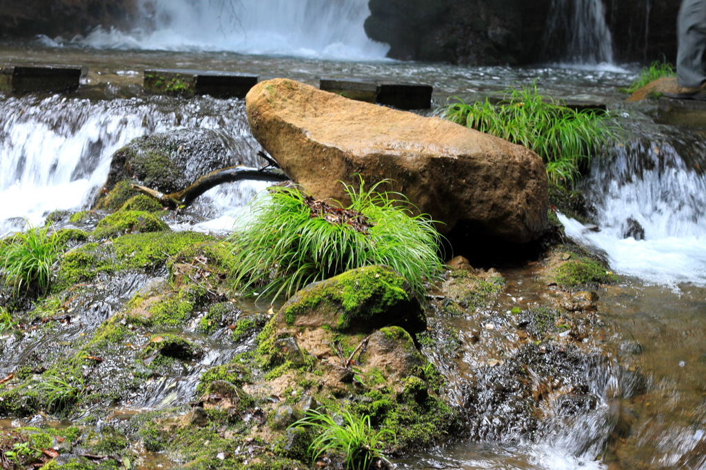 男池湧水群　名水の滝　006