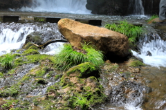 男池湧水群　名水の滝　006