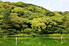 役満