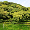 役満