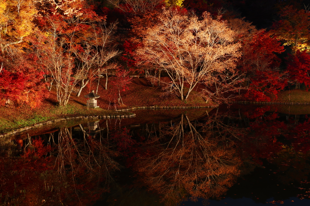 用作公園　2014