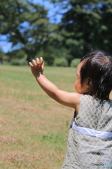 手のひらを太陽に