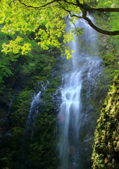 乙原の滝