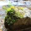 男池湧水群　名水の滝　005