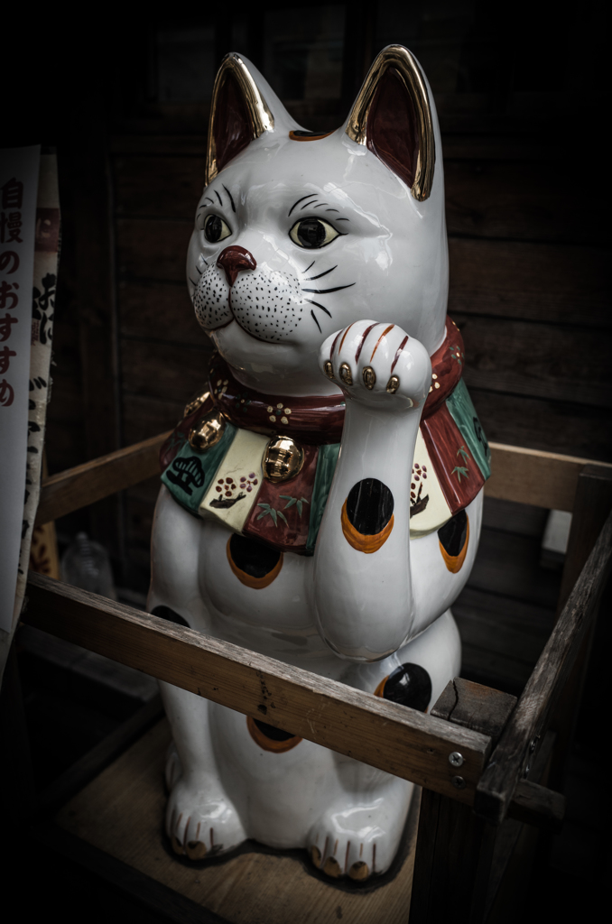 化猫
