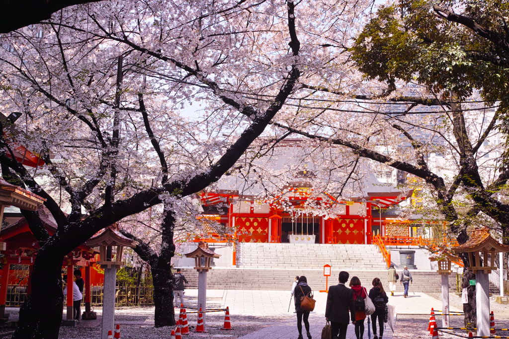 桜 花園神社