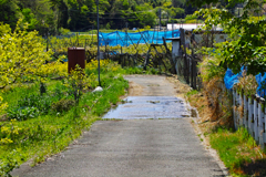 聖地近く