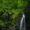 夏水