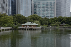 景色の融合