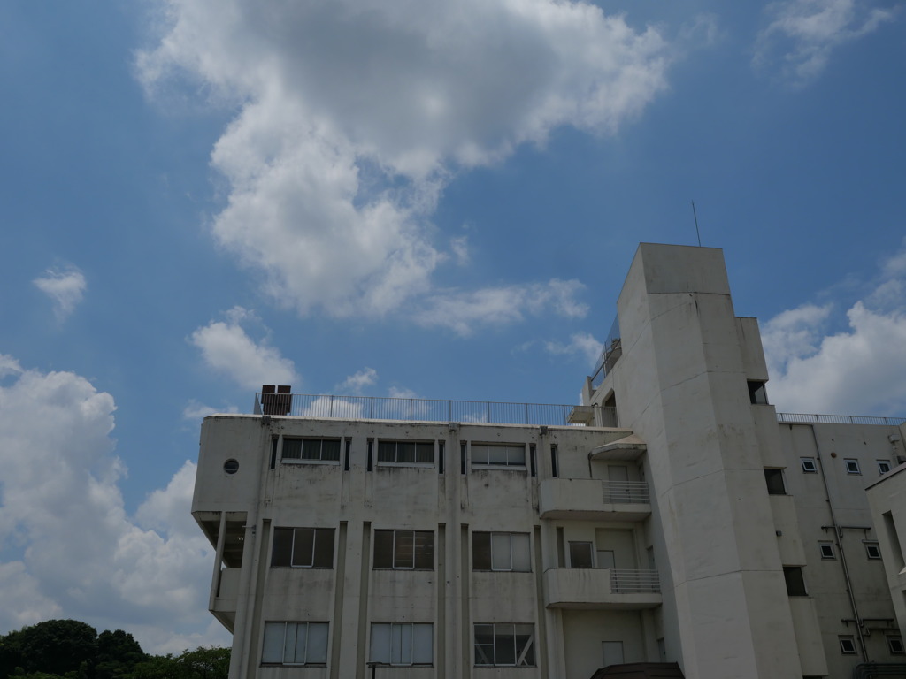 今となっては